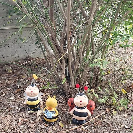 別荘 Magnolia リトコロン